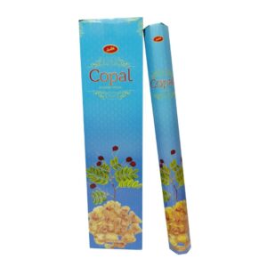 Sree Vani Tall - Copal