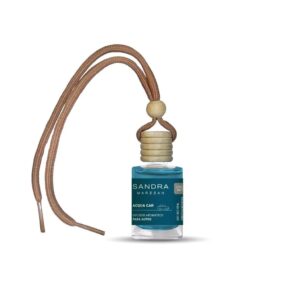 Difusores de Auto Acqua car 10 ml