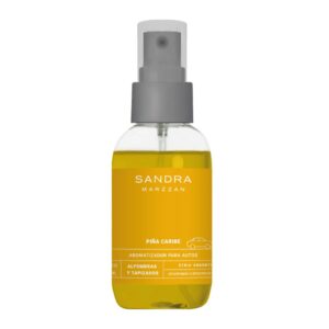 Aromatizador para Auto Piña Caribe 120 ml