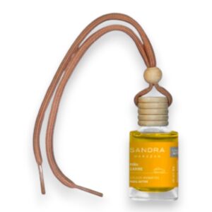 Difusores de Auto Piña Caribe 10 ml