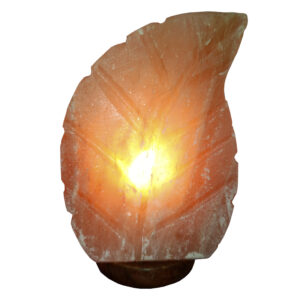 Lámpara de Sal Forma de HOJA