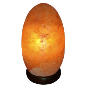 Lámpara de Sal Forma de HUEVO