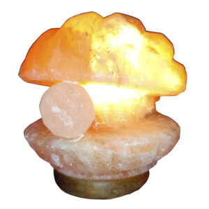 Lámpara de Sal Forma de OSTRA 15 cm.