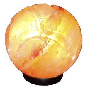 Lámpara de Sal forma de ROSA