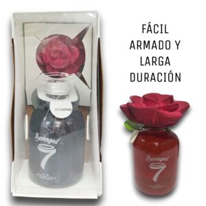 Rosa Afrodita Champak 2