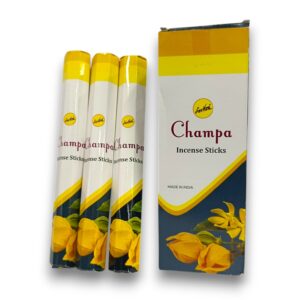 Sree Vani Hexagonal - Champa